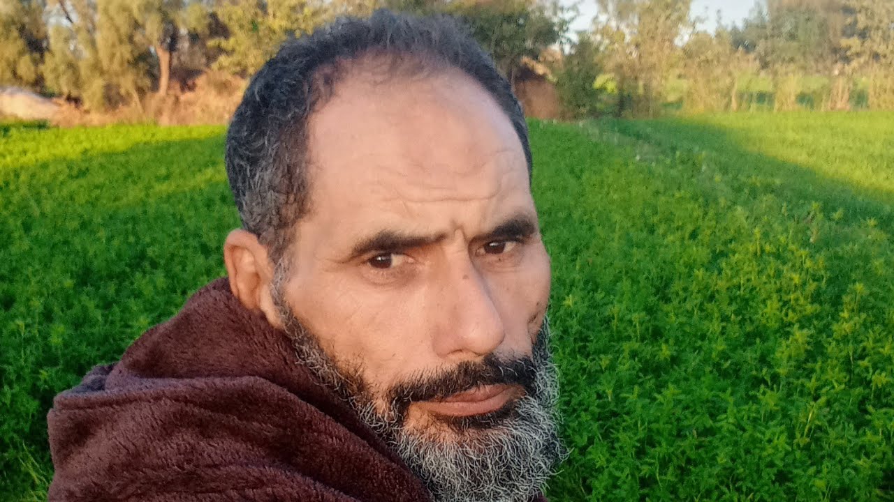 نساء الدنيا ونساء الآخرة مع اذكار الصباح