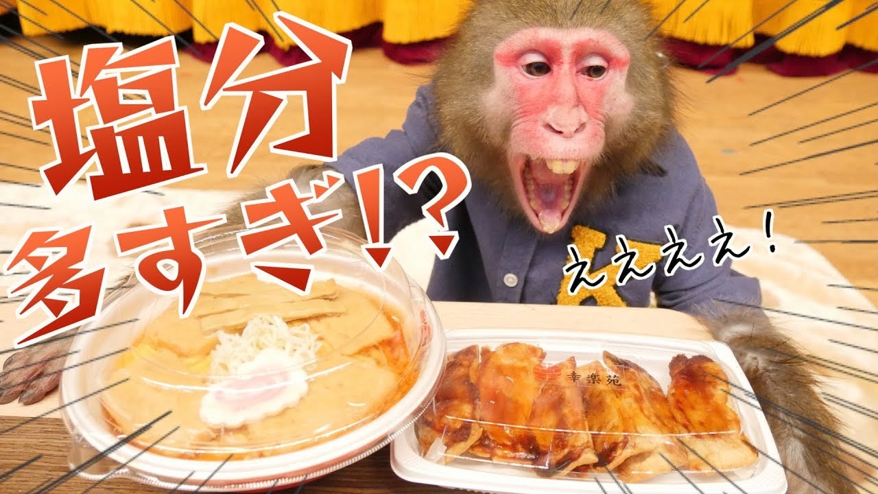 【炎上覚悟】お猿さんにラーメンあげてみたら、まさかの展開に…！！