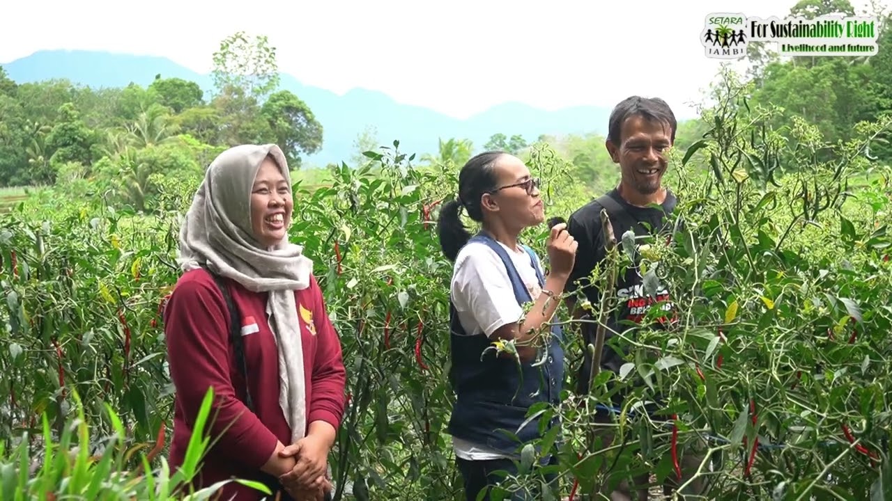 Manis Cabai Bumdes Gema Agung