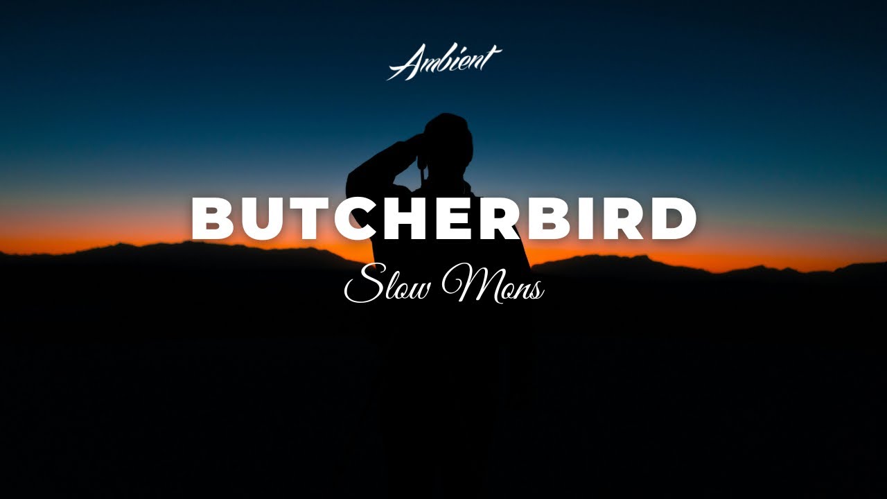 Slow Mons - Butcherbird [ambient electronic atmospheric]