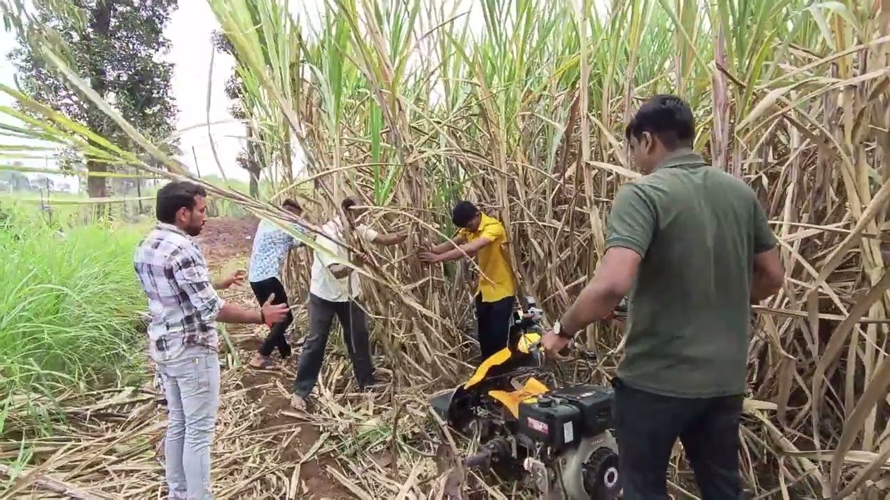Mini Sugarcane Harvester Thumper Machine