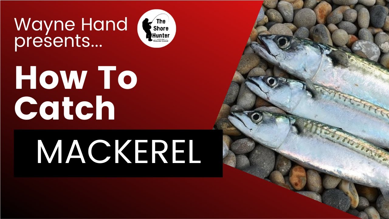 How To Catch a Mackerel, Sea Fishing, Free Coaching Lesson, Casting, Chesil Beach. Beginners Guide