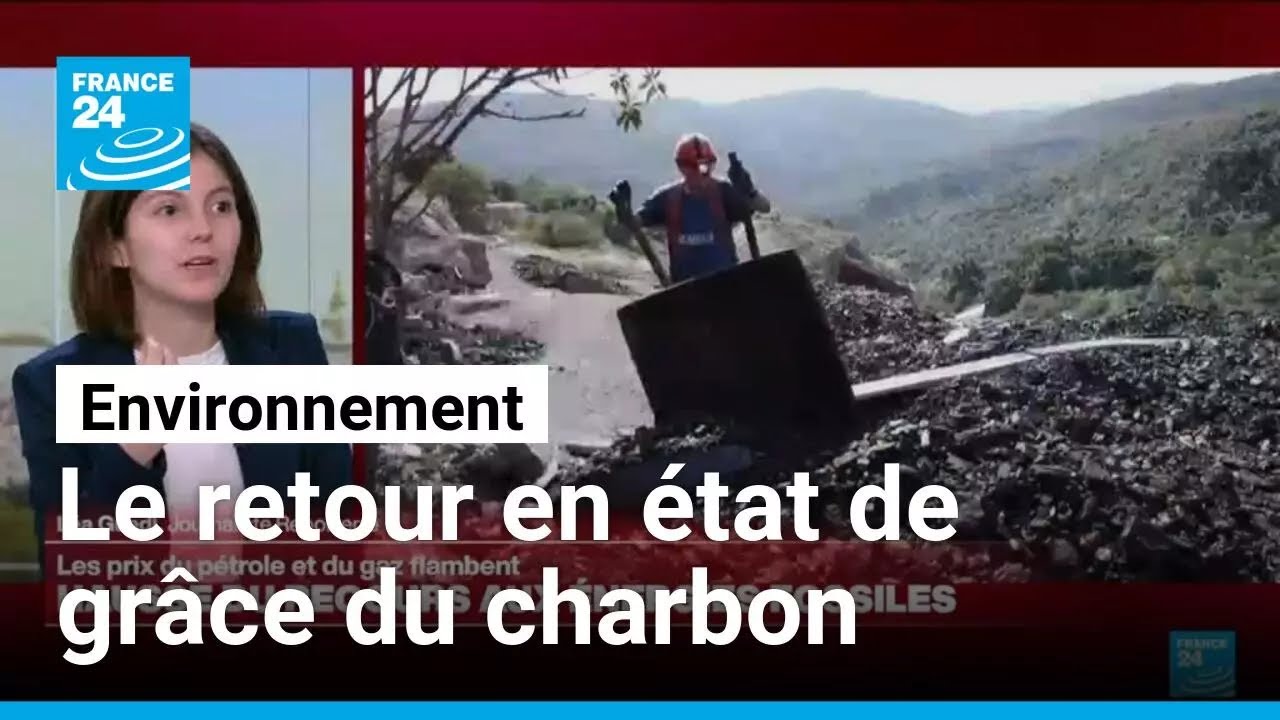 Avec la guerre, le retour en état de grâce du charbon • FRANCE 24