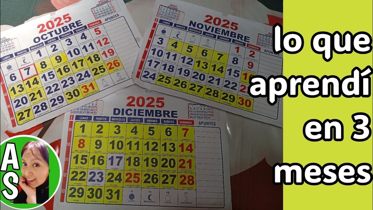🟢10 minutos diarios de ejercicios, lo que APRENDÍ EN 3 MESES
