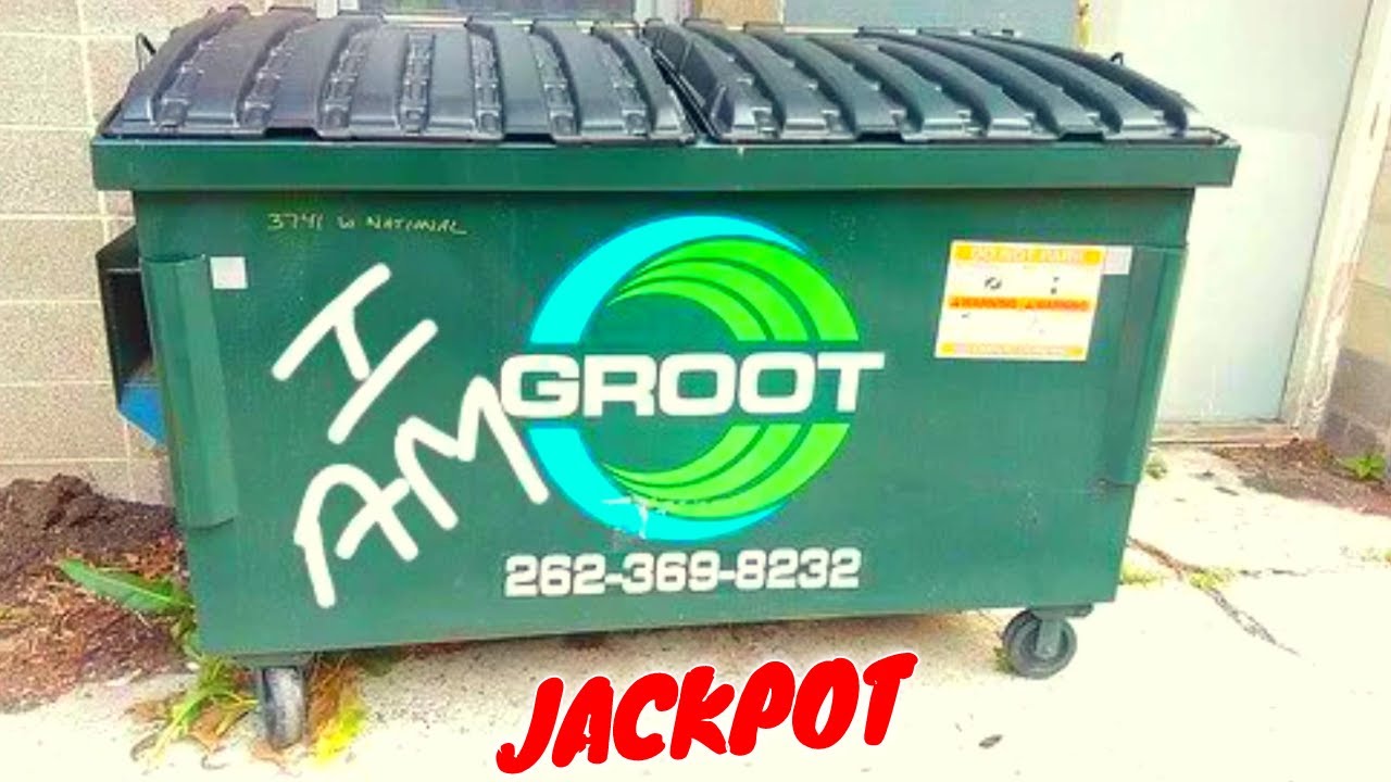 Поиски в мусорном баке: «Там могут быть заразные клопы!»