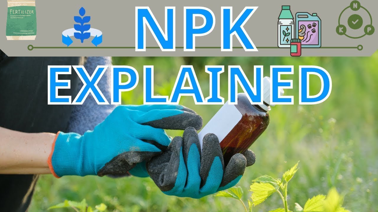 Introduction to NPK Explained! [Nitrogen / Phosphorus / Potassium]