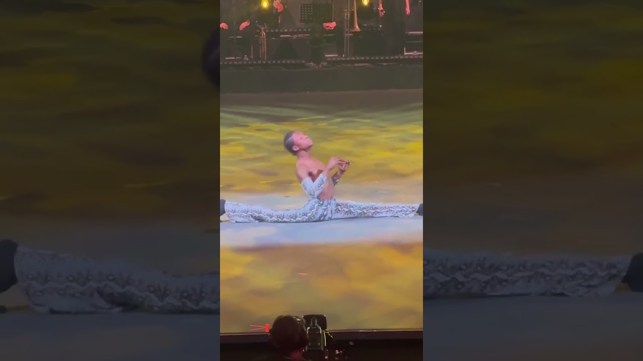 Ivorian Yaya Diarrassouba's Contortion Performance at Festival Mondial du Cirque de Demain, Paris