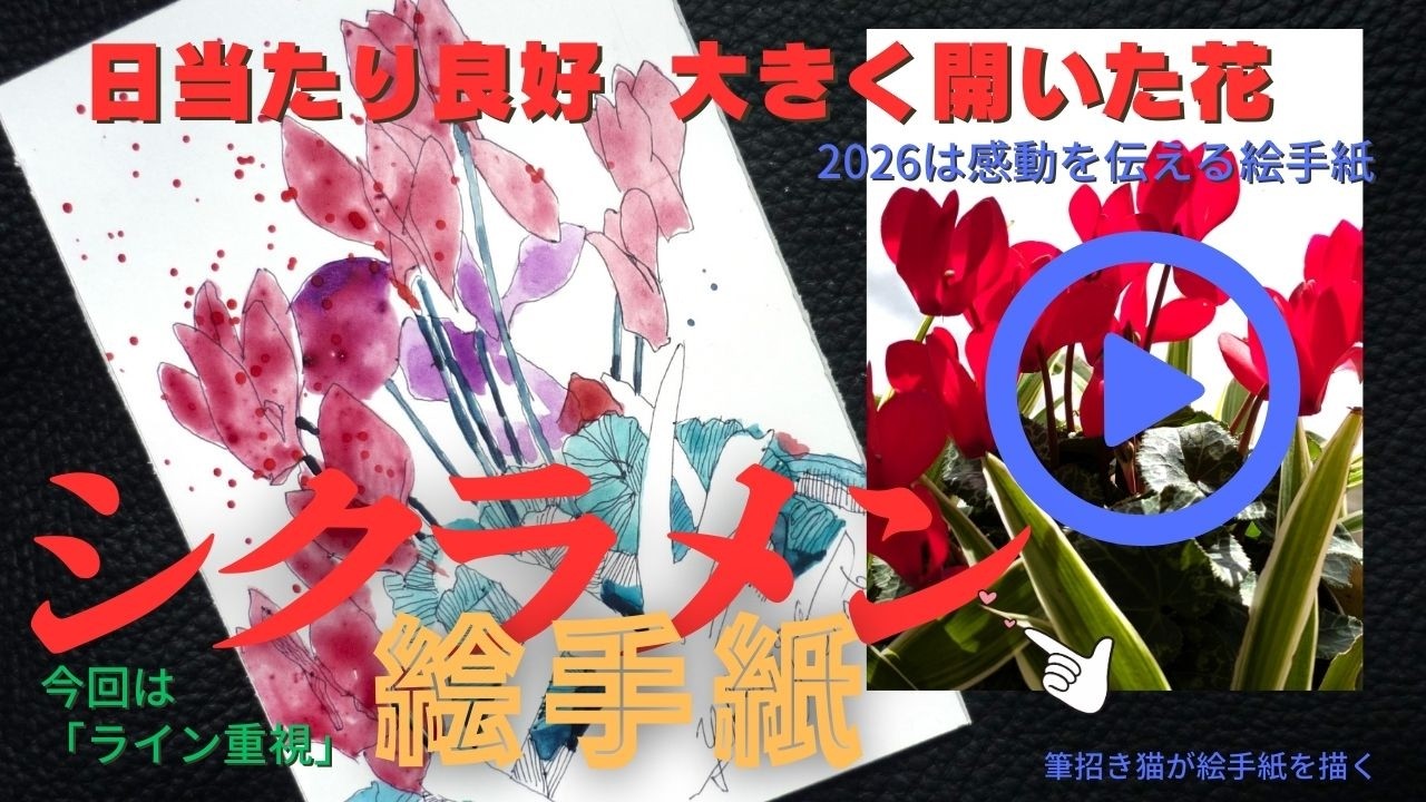 新しい年の光に強く咲きました。シクラメ。いろいろな色の中で赤系統を選びハガキに描きました。