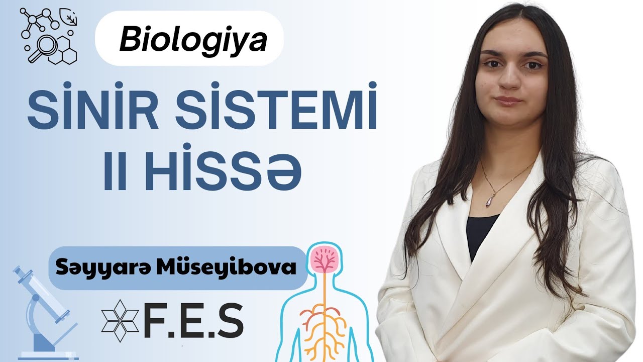 SİNİR SİSTEMİ II HİSSƏ | BİOLOGİYA | SƏYYARƏ MÜSEYİBOVA | FES ACADEMY 077-598-38-00 