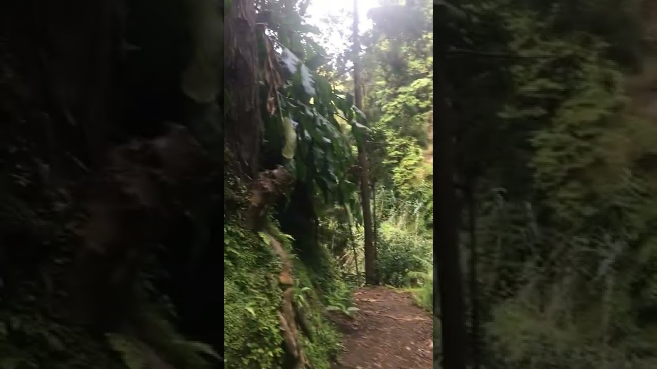 Waterfall in Azores Cascara da Ribeira Quente #waterfall #azores #saomiguel #nature #natural