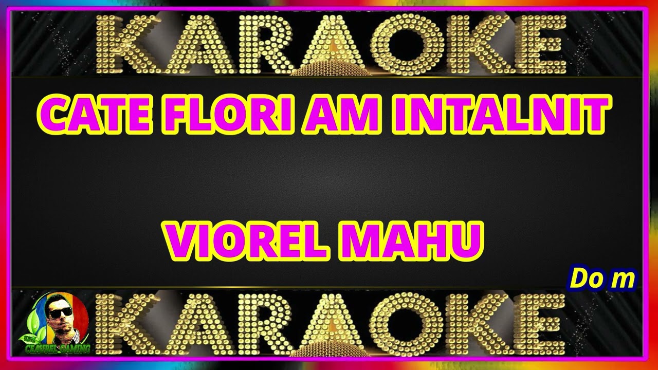 CATE FLORI AM INTALNIT KARAOKE VIOREL MAHU