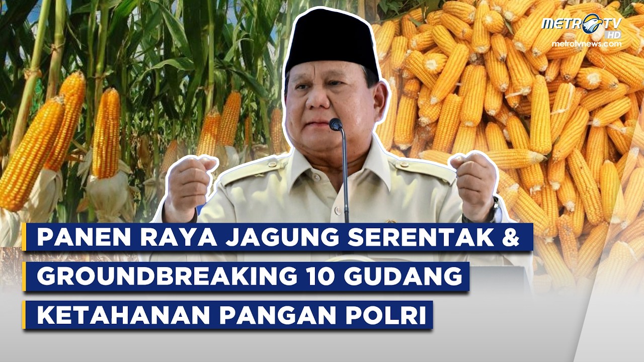 BREAKING NEWS - Panen Raya Jagung Serentak & Groundbreaking 10 Gudang Ketahanan Pangan Polri