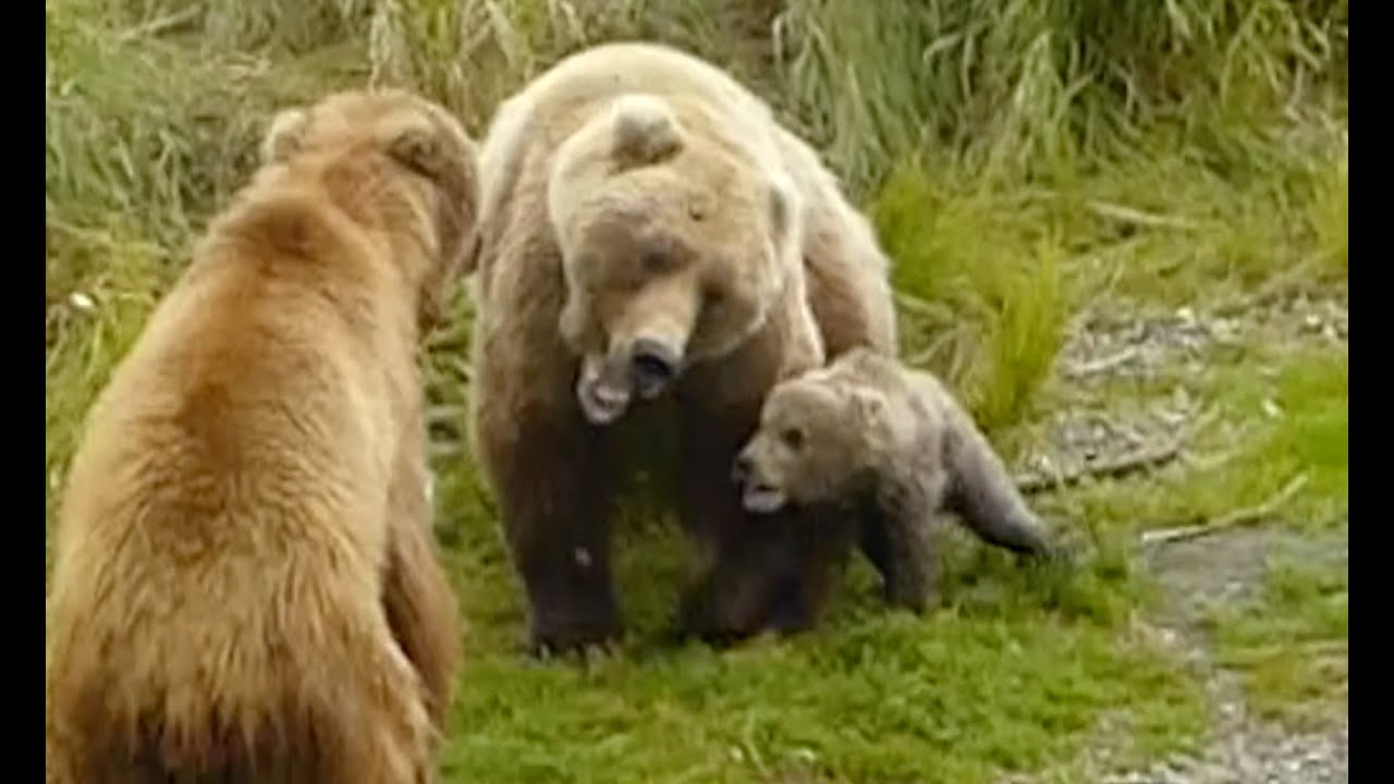 You Wanna Piece of Me?