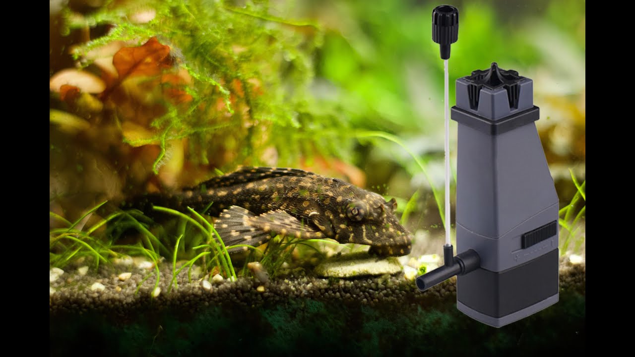 Sunsun skimmer JY-02 / KonAkva #34