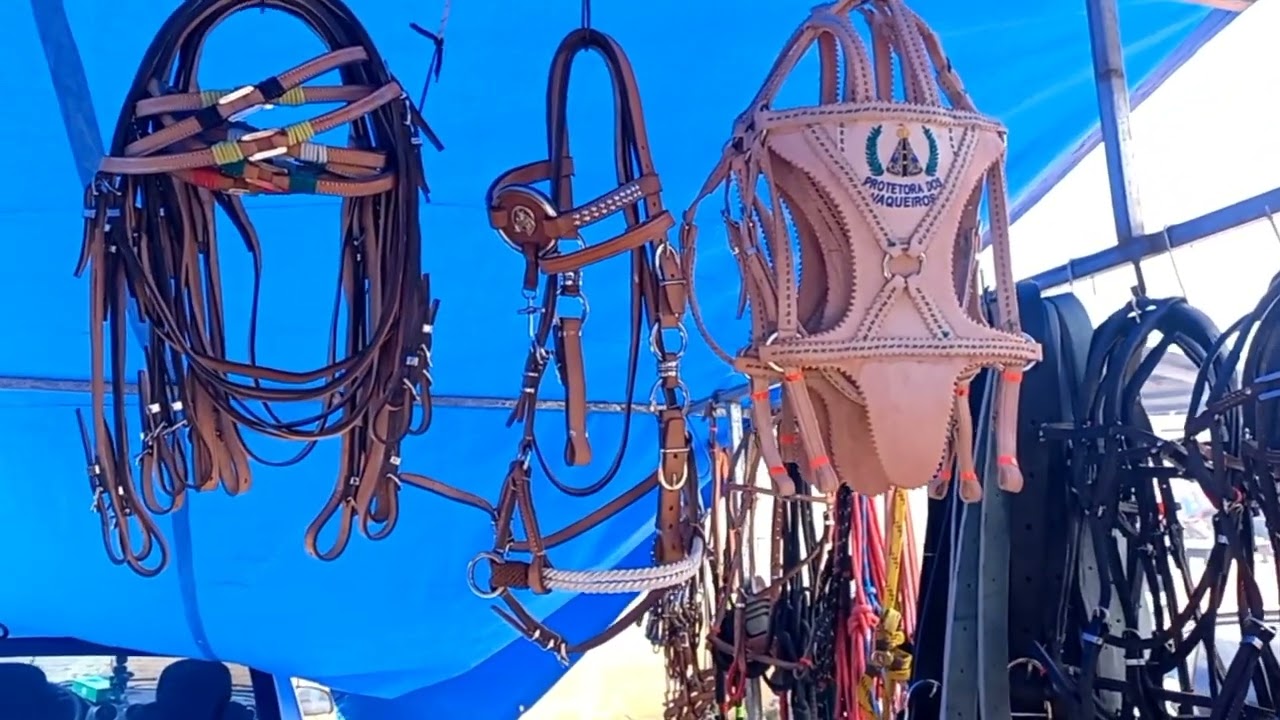 Feira de arreios de capoeiras PE 31/03/2023!