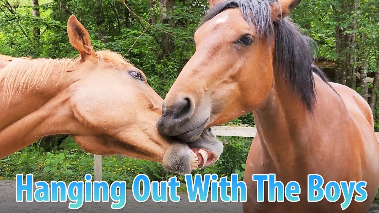 Beard Trimming With The Boys