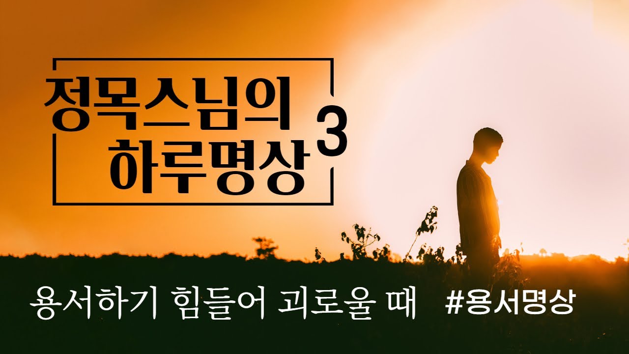 [정목스님의 하루명상] 용서하기 힘들어 괴로울 때 / 용서명상