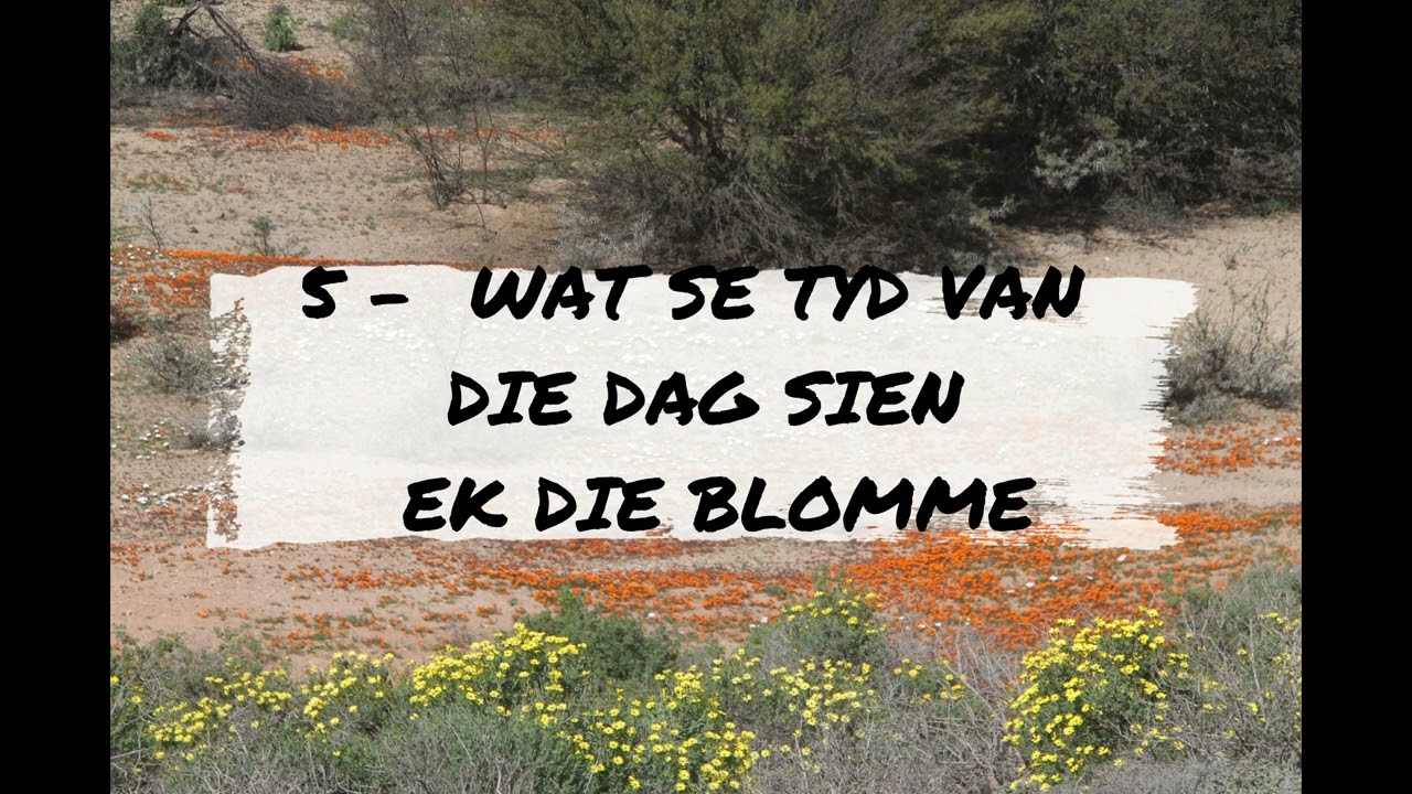 NAMAKWALAND BLOMME SELFRY GIDS , VERBLYF , SELFRY VS TOERBUS , WAAR IS DIE BLOMME - TRAVEL2CMORE