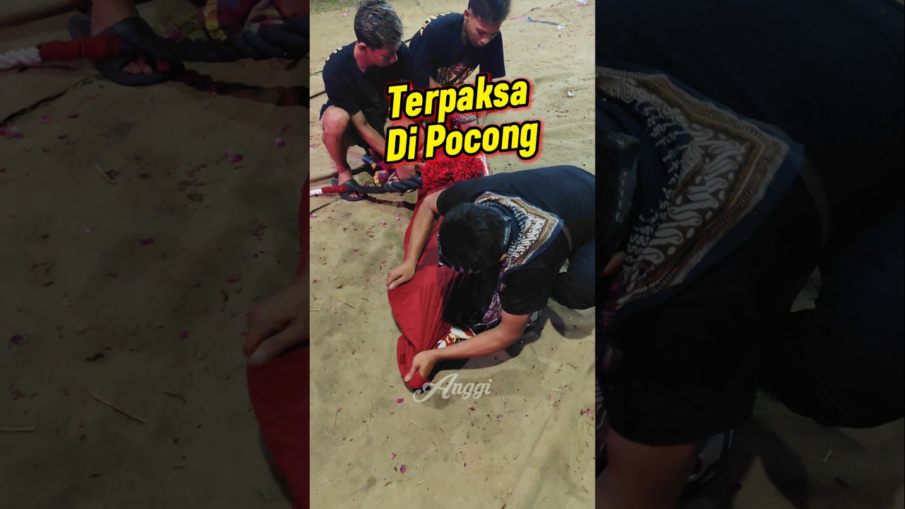 Ritual Tergila ‼️ reog wkb sikunir - proses penyembuhan kesurupan kuda lumping #shorts #kesurupan