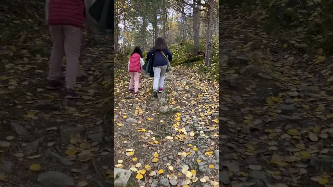 VÅTTÅHAUGEN OPPDAL