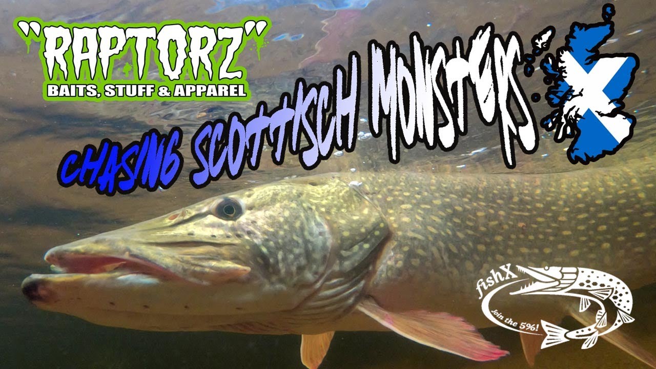RAPTORZ - chasing scottish monsters on the fly (PIKE FLY FISHING)