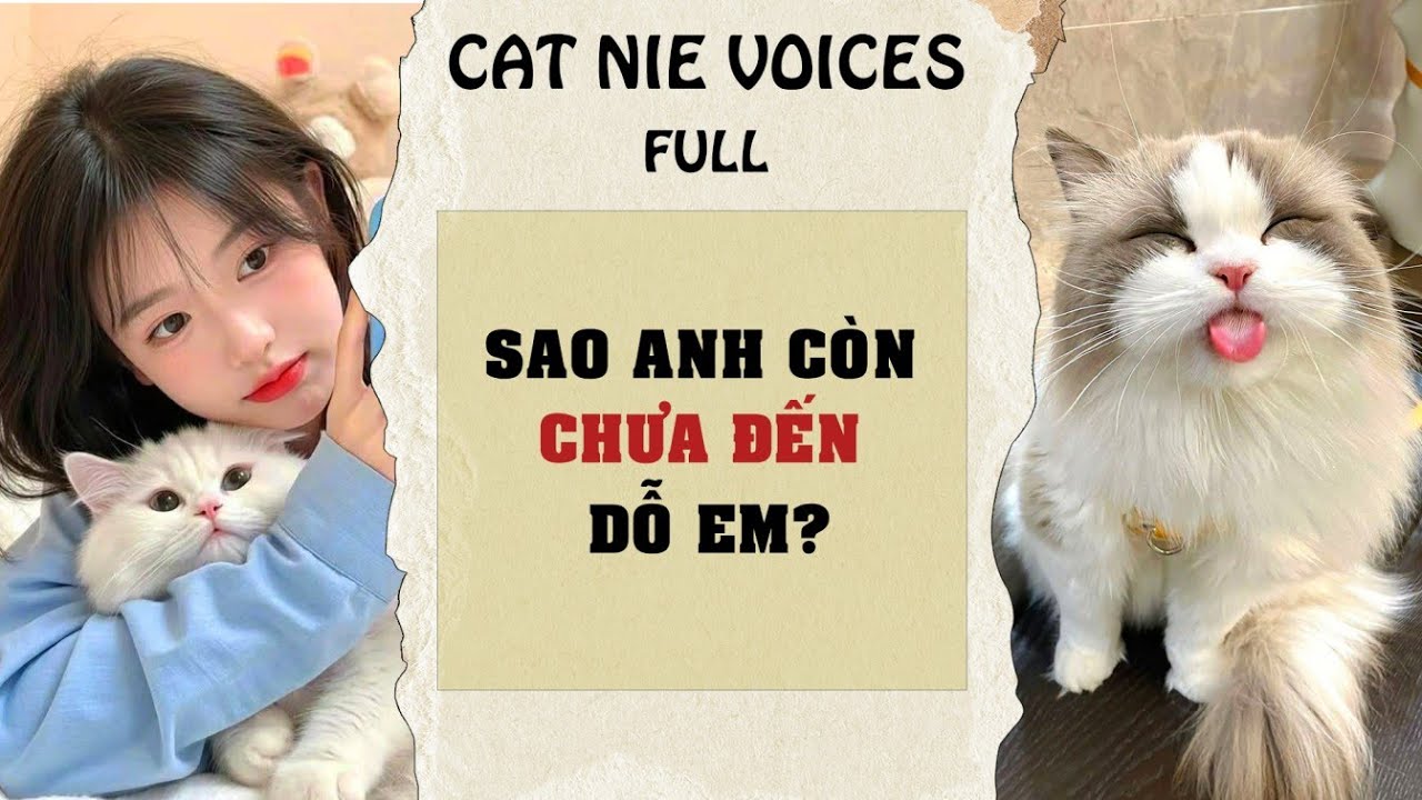 Full audio | Sao anh còn chưa đến dỗ em | #catnievoices #truyenaudio