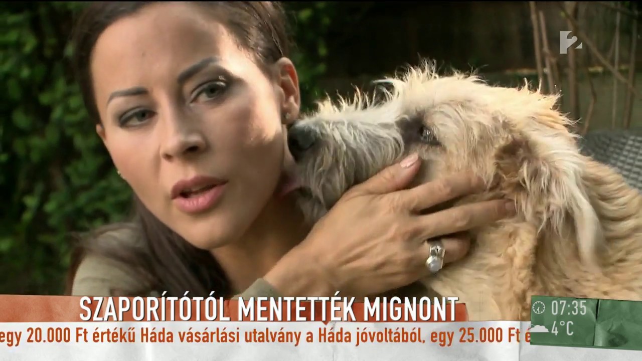 Tornóczky Anita a hirdetési oldalakkal indítana kampányt a szaporítók ellen - tv2.hu/mokka