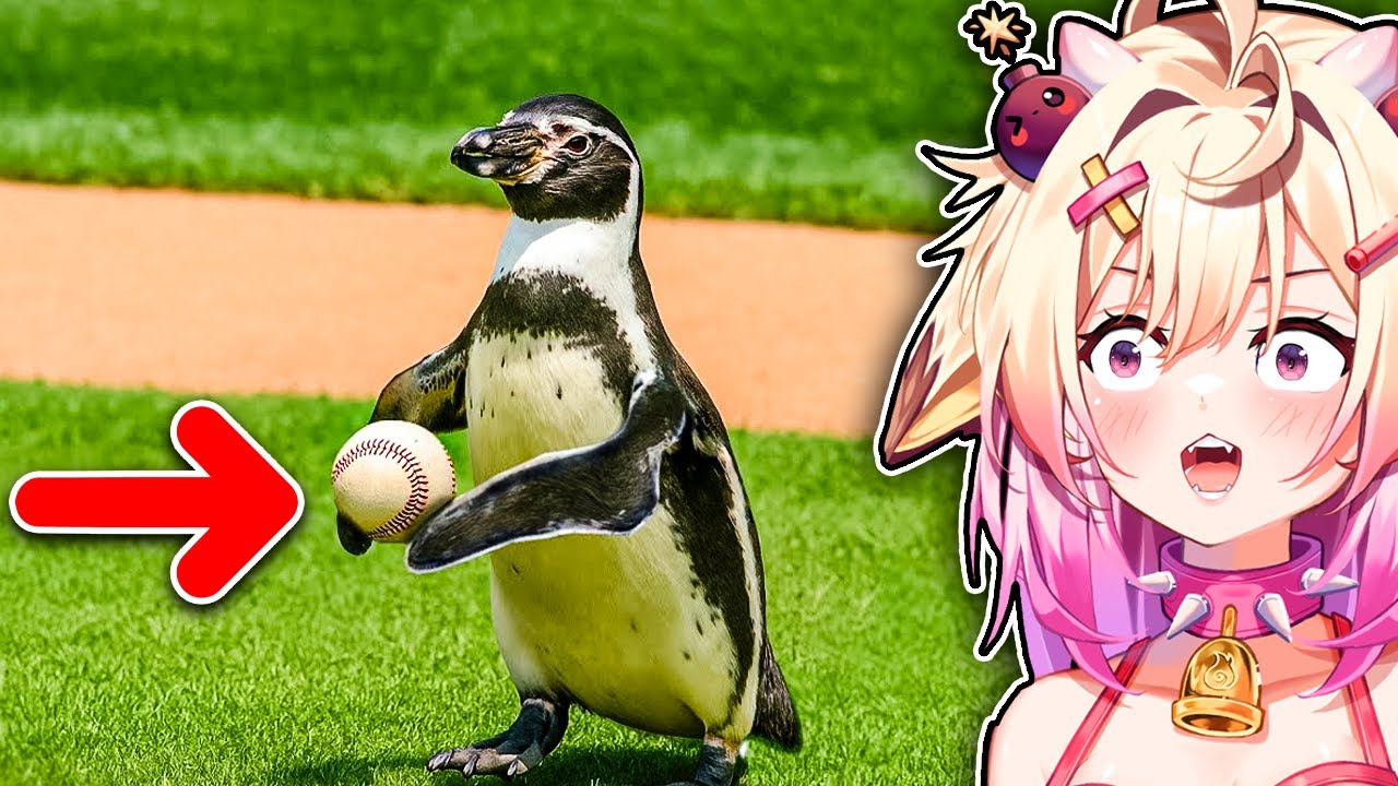 MLB Animal Moments!! | Rosiebellmoo Reacts