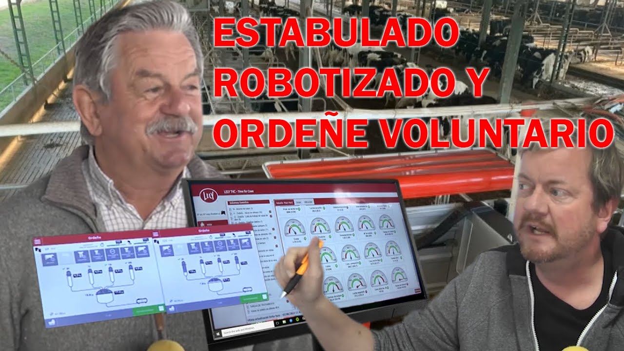 TAMBO COMPLETAMENTE ESTABULADO, ROBOTIZADO Y ORDEÑE VOLUNTARIO