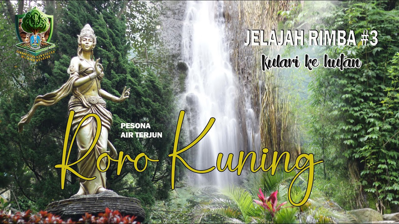 JELAJAH RIMBA #3  |  PESONA AIR TERJUN RORO KUNING