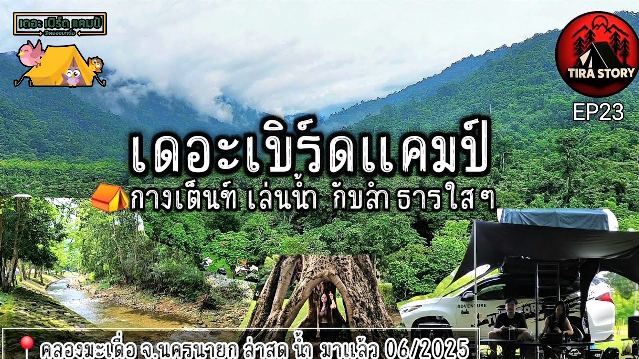 เดอะเบิร์ดแคมป์ คลองมะเดื่อ นครนายก (รีวิวลาน ล่าสุด06/2025)จุดกางเต็นท์เล่นน้ำลำธารใสๆใกล้ กทม.EP23