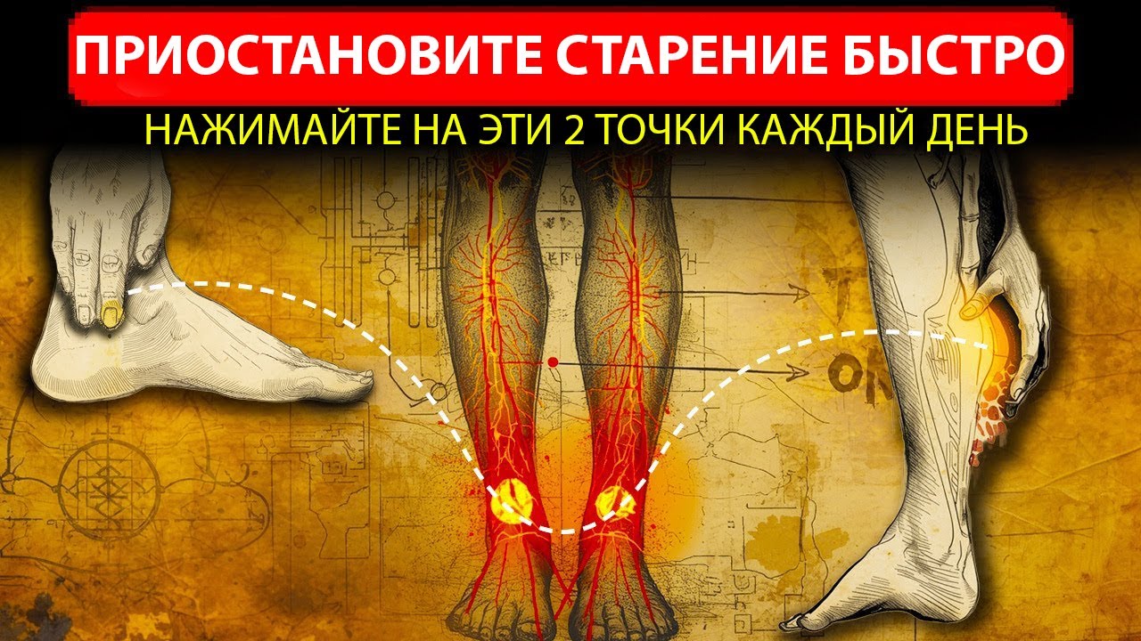 Нобелевская Наука Подтверждает: 2 Древние Точки, Которые Обращают Старение Вспять