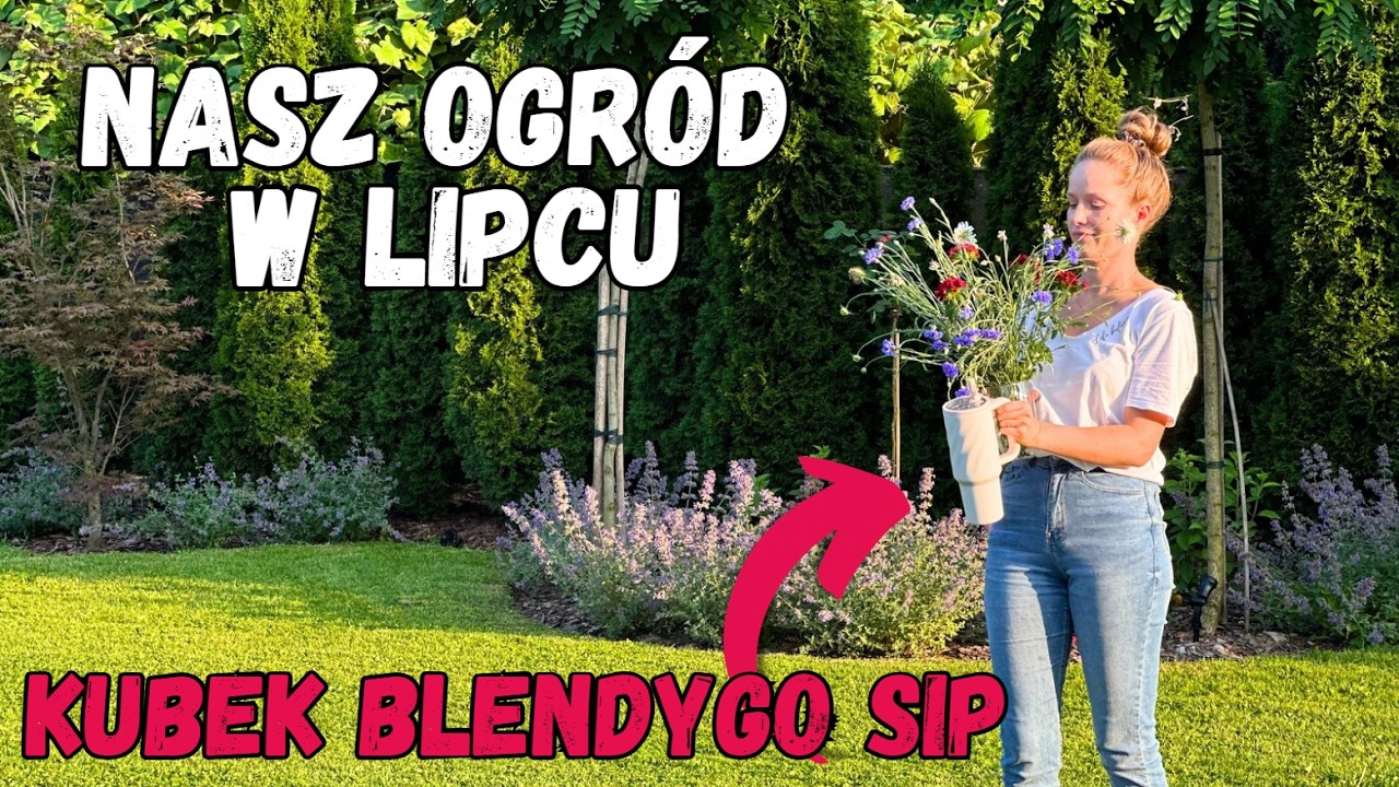 Przegląd naszego ogrodu w lipcu | Kwiaty cięte do wazonu | Kubek BlendyGo Sip #ogr&oacute;d #rośliny #dom