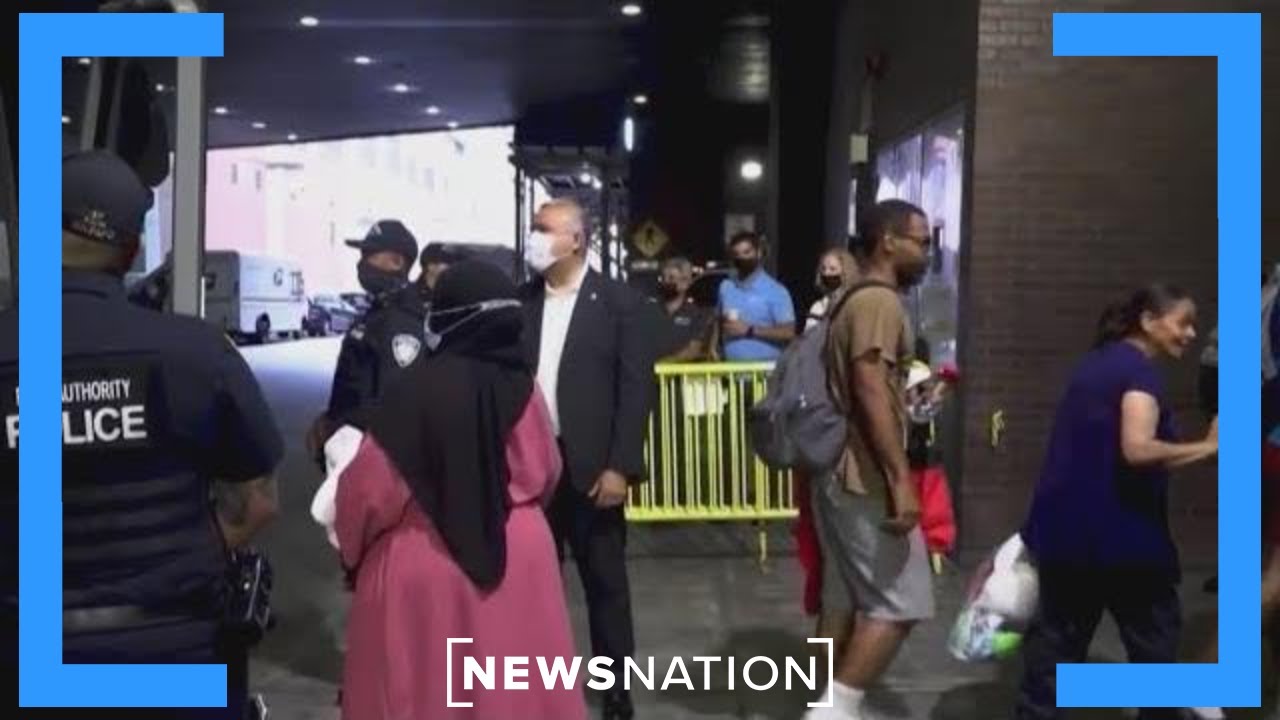 New Yorkers are feeling displaced by influx of migrants: New York councilwoman | NewsNation Live