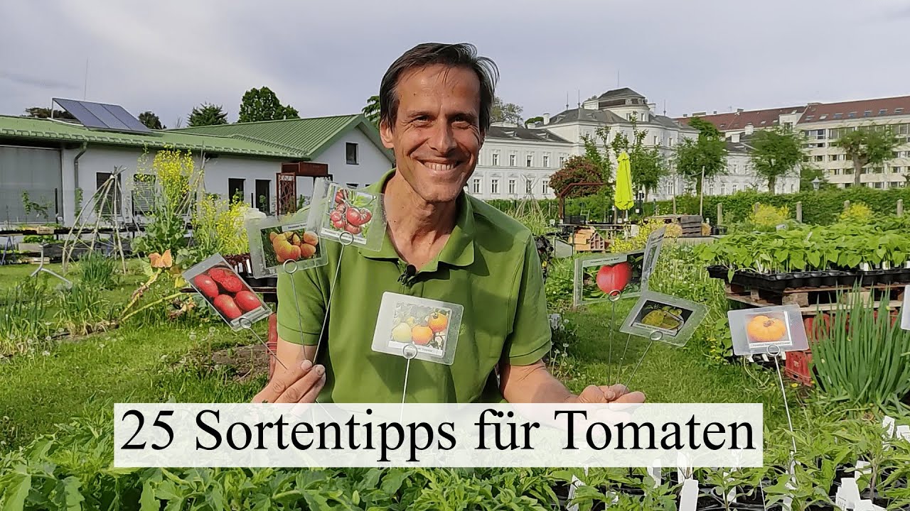 25 Sortenempfehlungen & Anbautipps für Tomaten 🍅 Die richitgen Sorten für jeden Standort 👨‍🌾