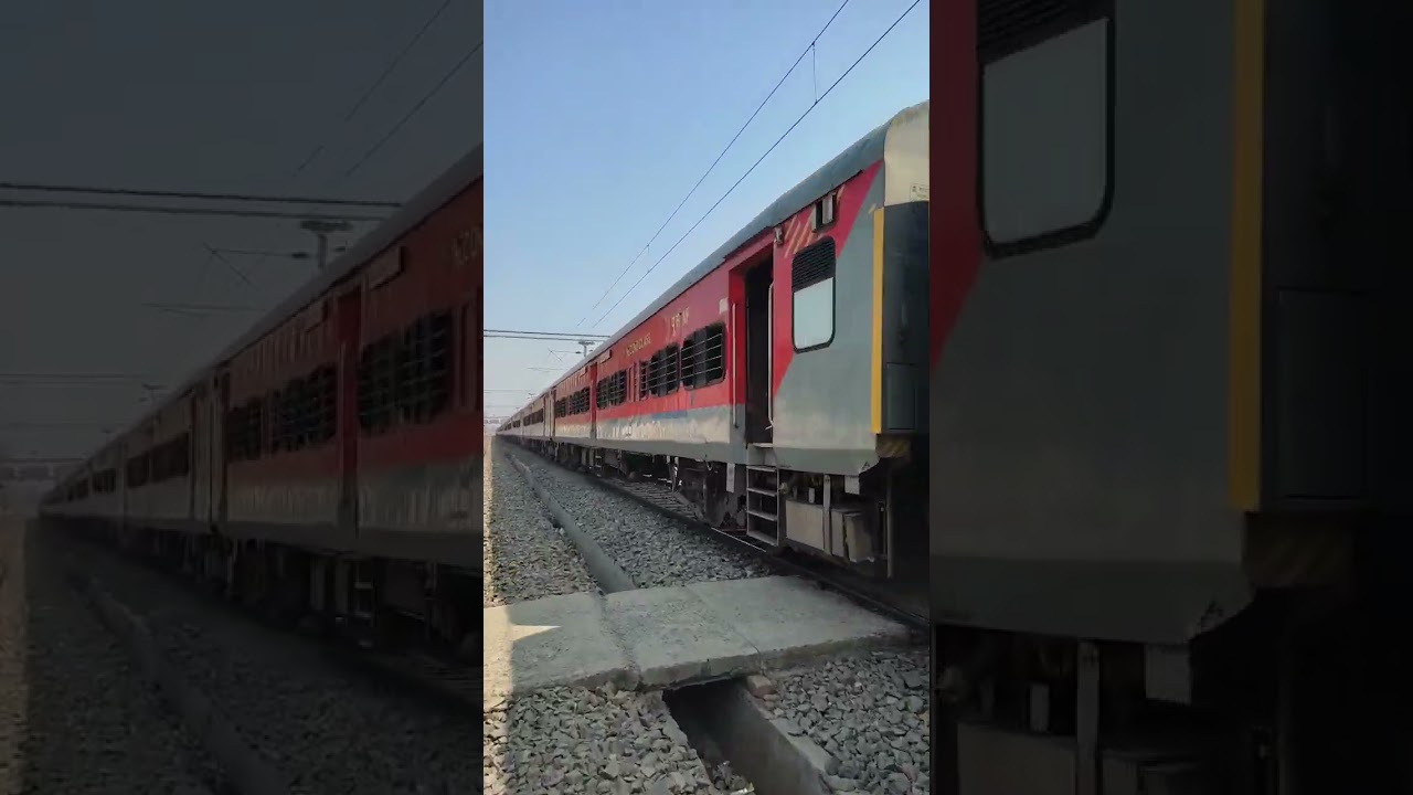 Purnia junction#hashtag #youtube #shortvideo #train #trending #explorepage #explore #love #purnia