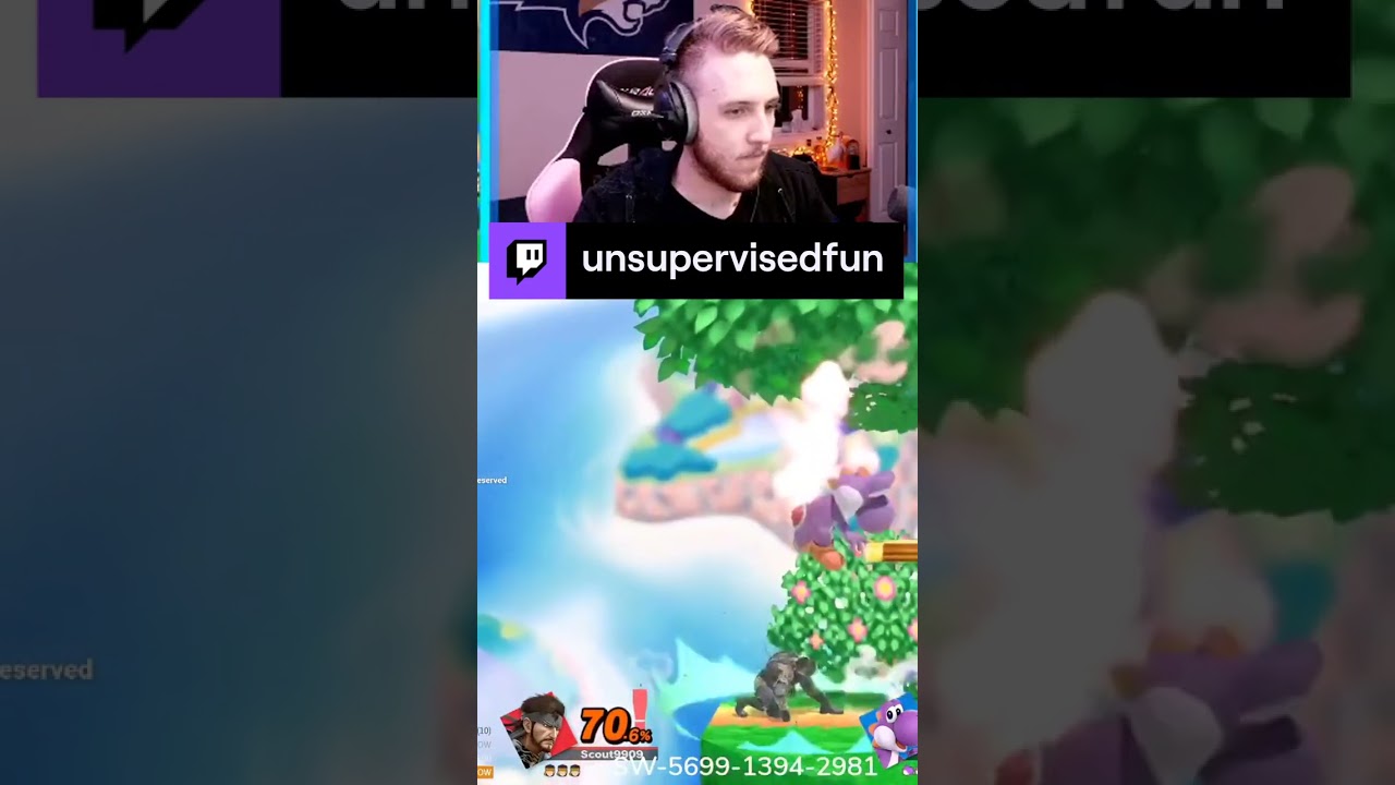 Smash Ultimate Stage Domination