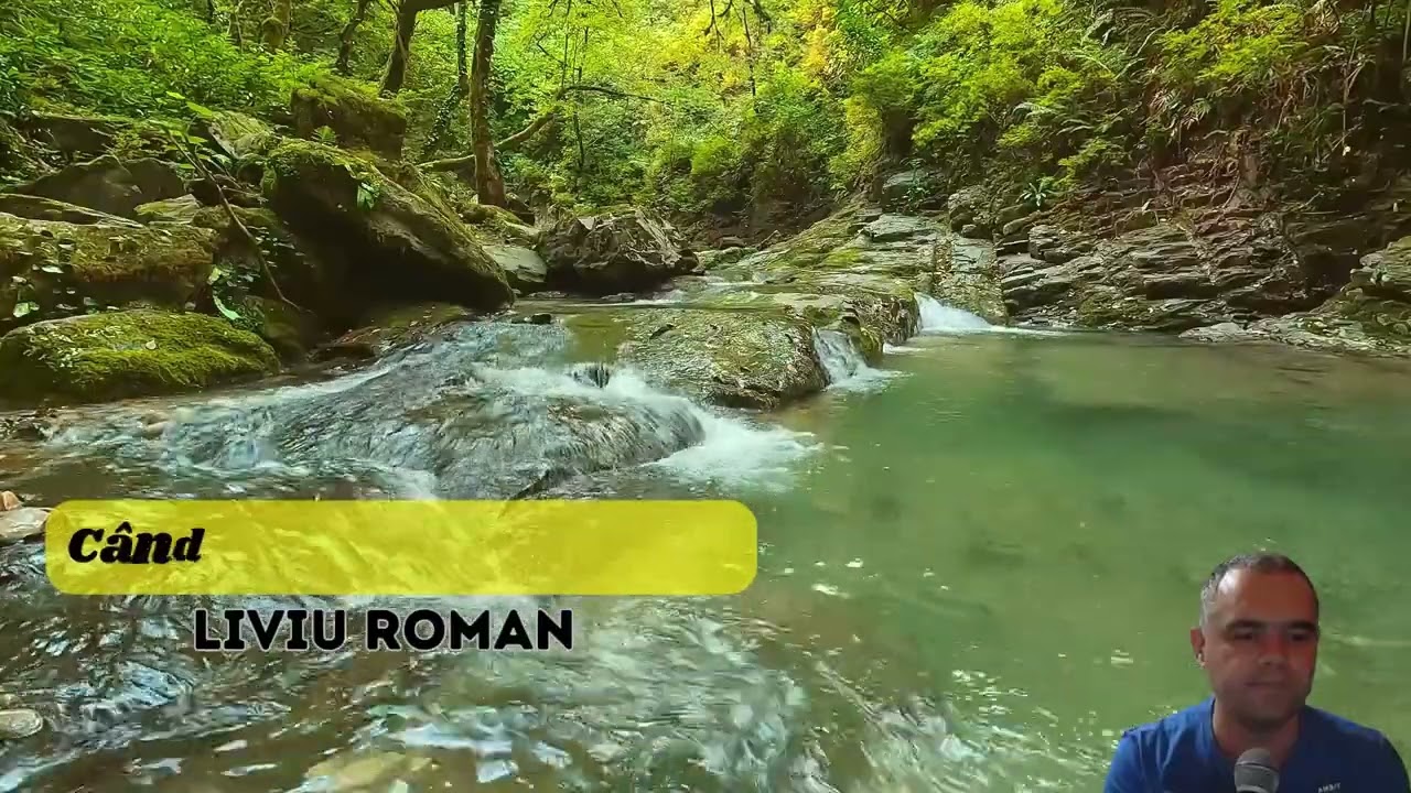C&acirc;nd e omul fain și t&acirc;năr (cover) - Liviu Roman