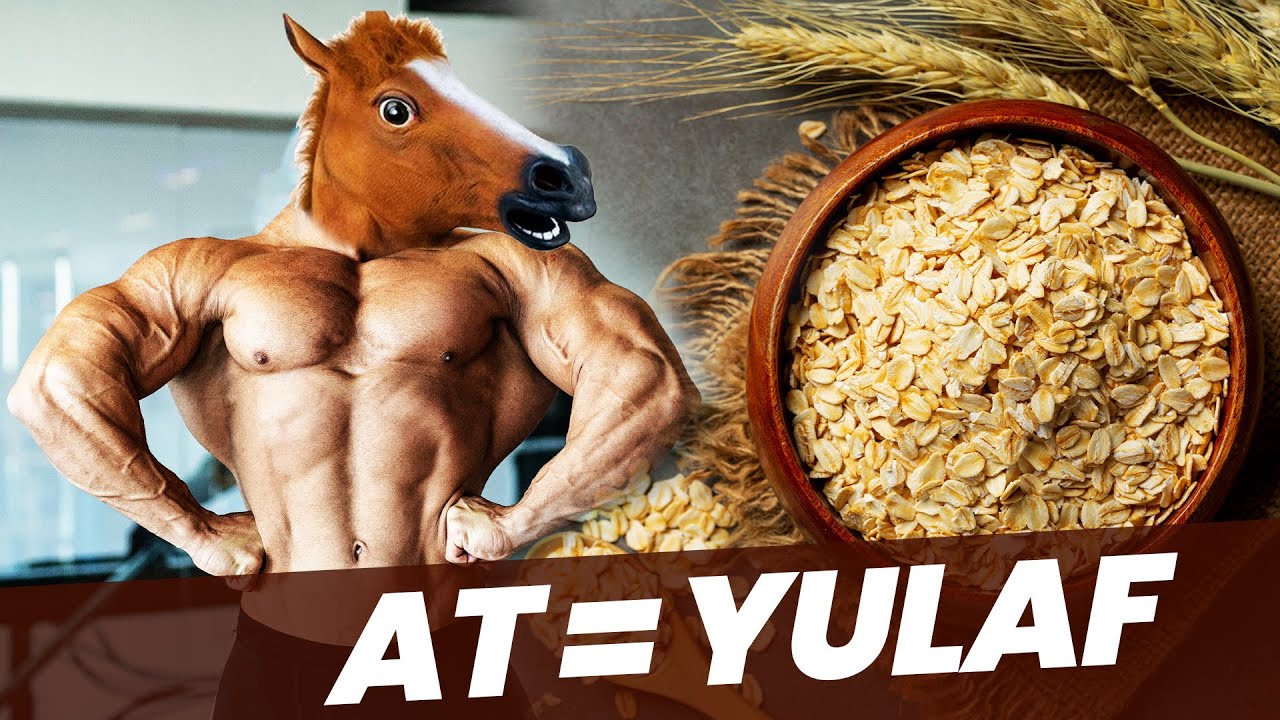 AT DEĞİLİZ AMA YULAF BİZDE  BÖYLE YENİR!