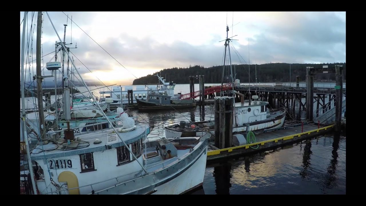 Drone Footage of Sointula Harbour and Townsite on Malcolm Island