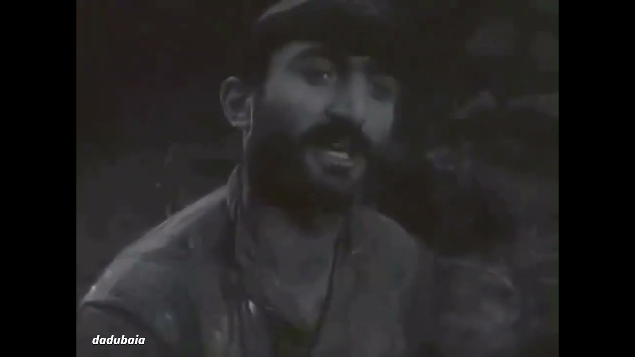 მიხა / Mikha