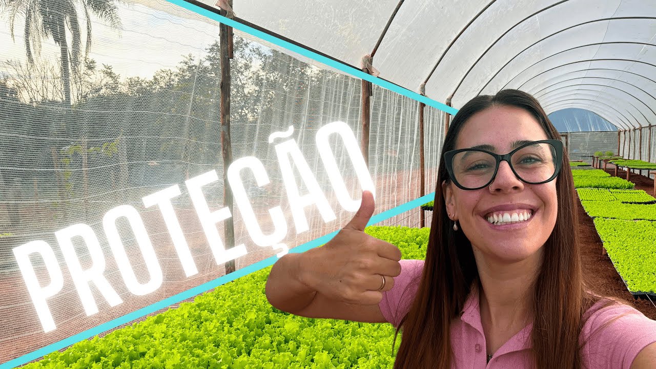 TROCANDO O SOMBRITE: RENOVANDO A PROTEÇÃO DAS SUAS MUDAS