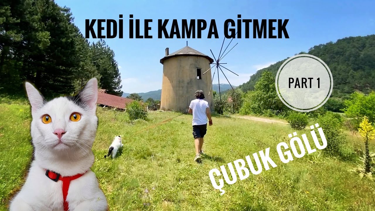 BOLU GÖYNÜK ÇUBUK GÖLÜ / KEDİ İLE KAMPA GİTMEK