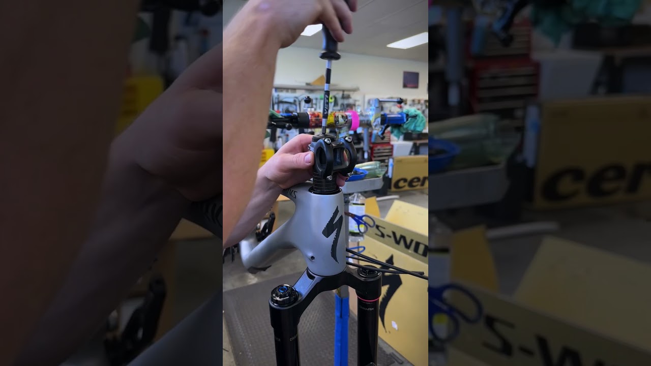 Stumpjumper 15 Evo Dream Build 🤩