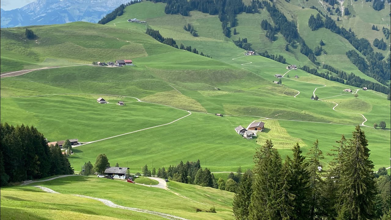 Wirzweli🇨🇭