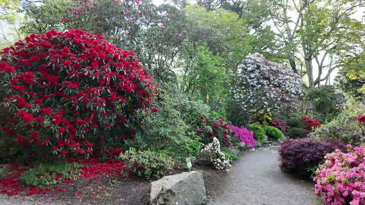 BODNANT GARDENS, in the beautiful Conwy Valley, North Wales. Wonderful nature and colours.
