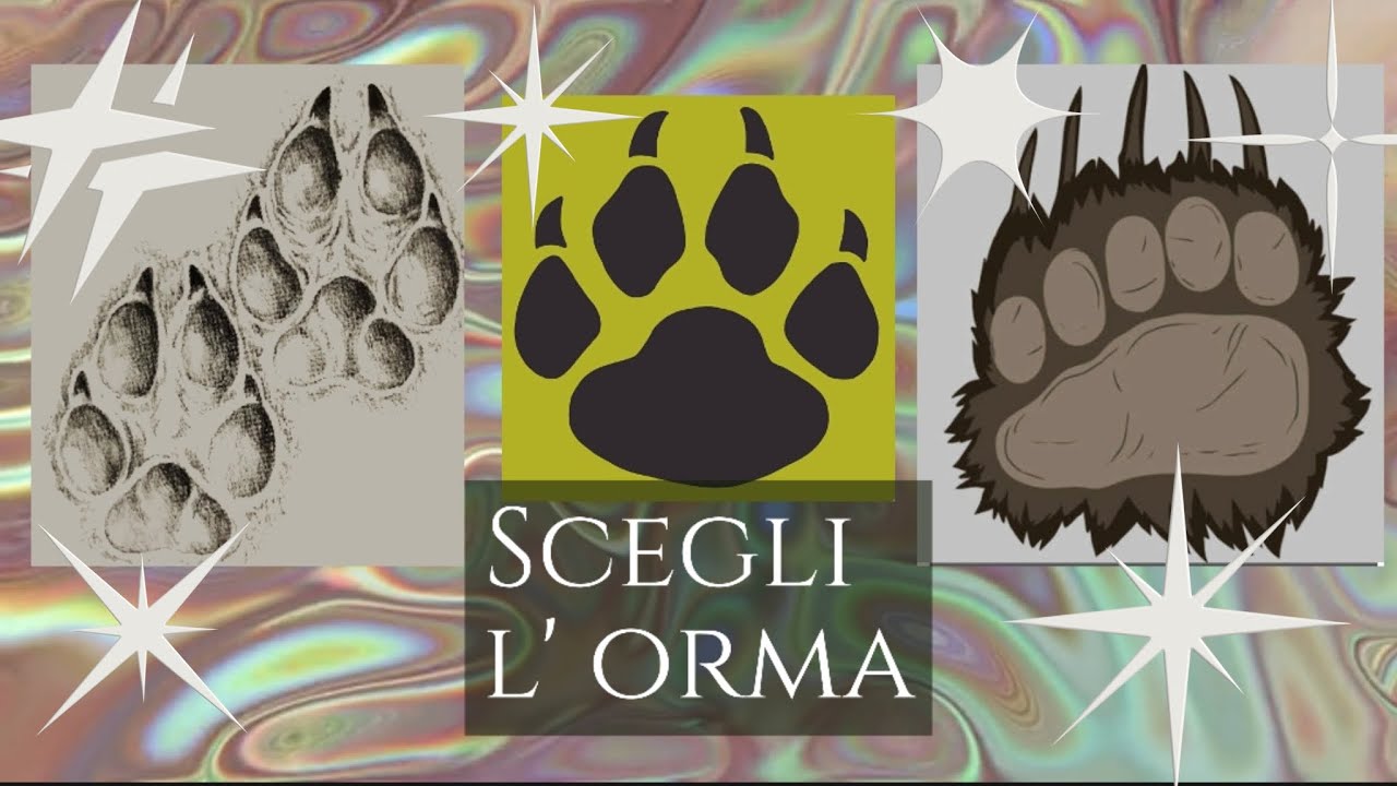 Scegli un' orma, ti porterà alla tua lettura
