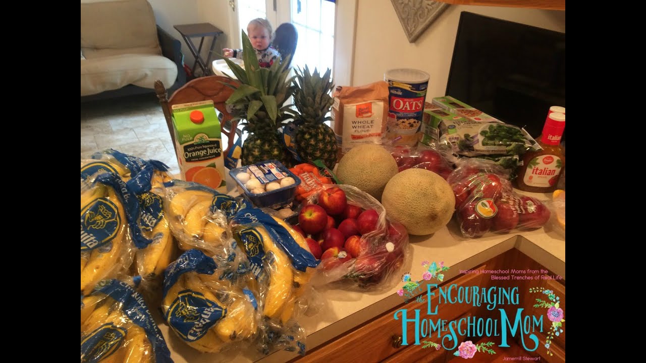 $118.01 Large Family Aldi Grocery Haul + Meal Plan for the Week