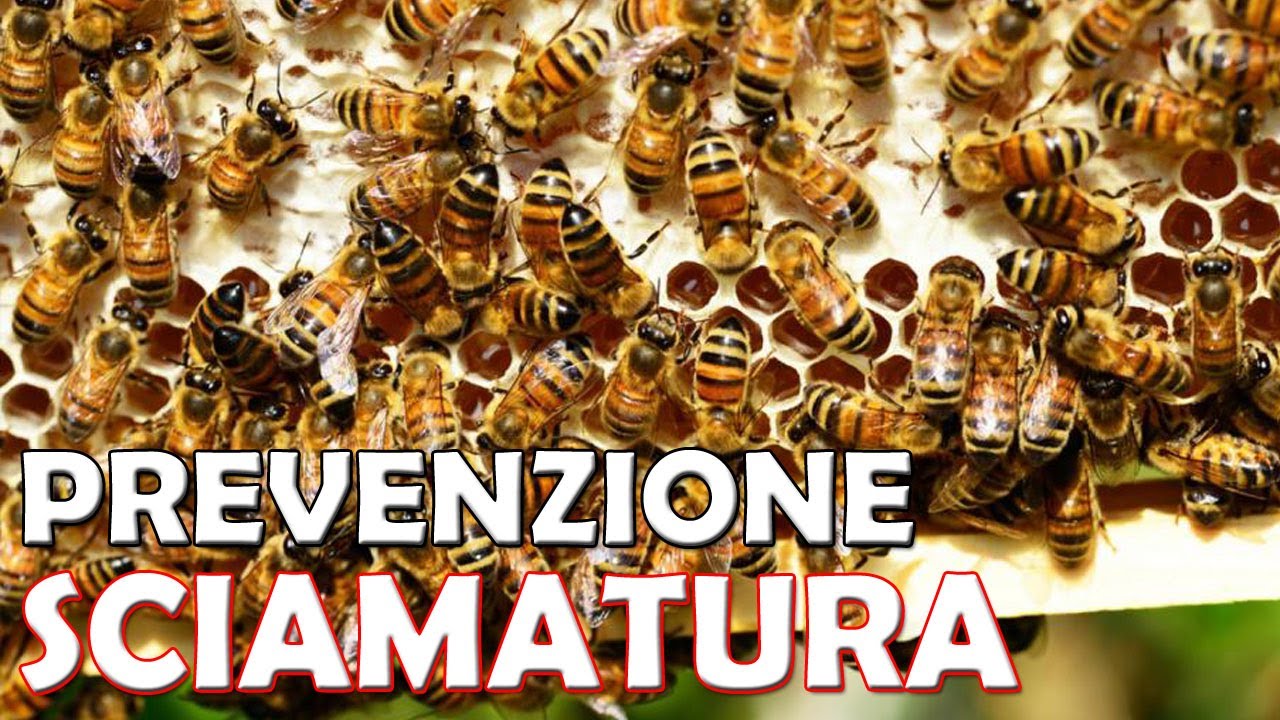 Sciamatura come prevenirla! - Metodo 2
