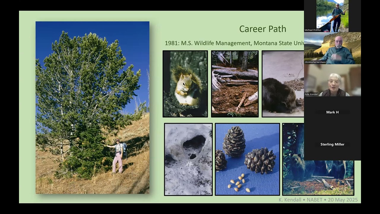 Reflections on a Career in Bear Research